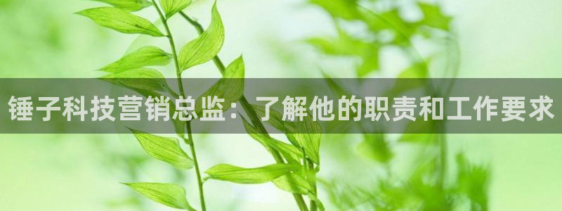 金年会体育是诈骗