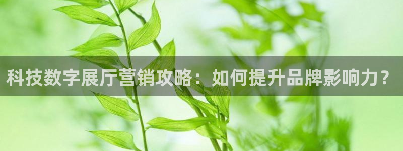 金年会体育app官网入口下载