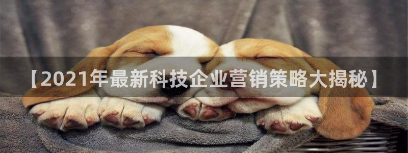 金年会体育官网是多少