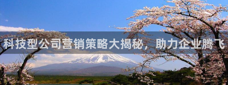 金年会sports