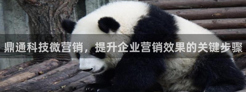 金年会体育app网页版官方入口