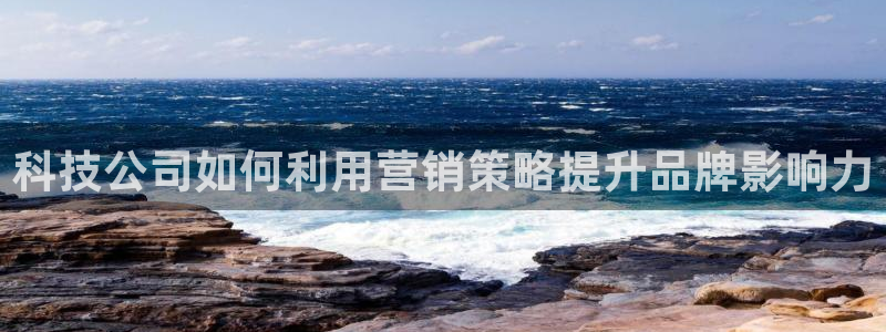 金年会电子游泳app