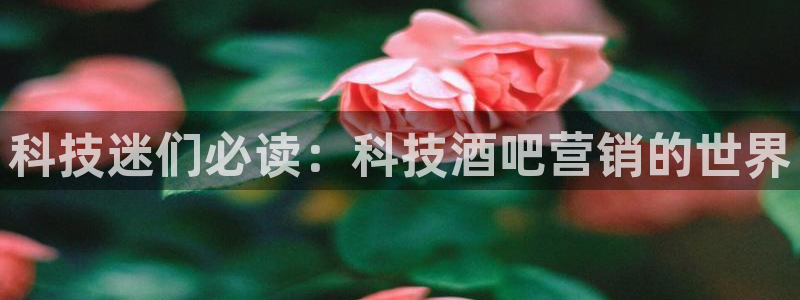金年会体育如何